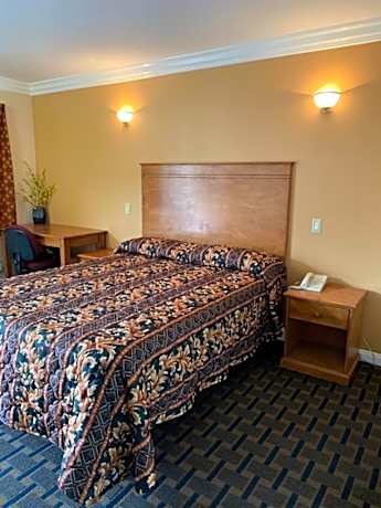 Single Room - Disability Access