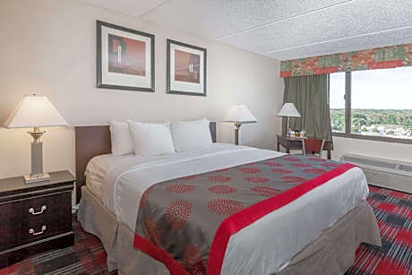 1 King Bed, Non-Smoking