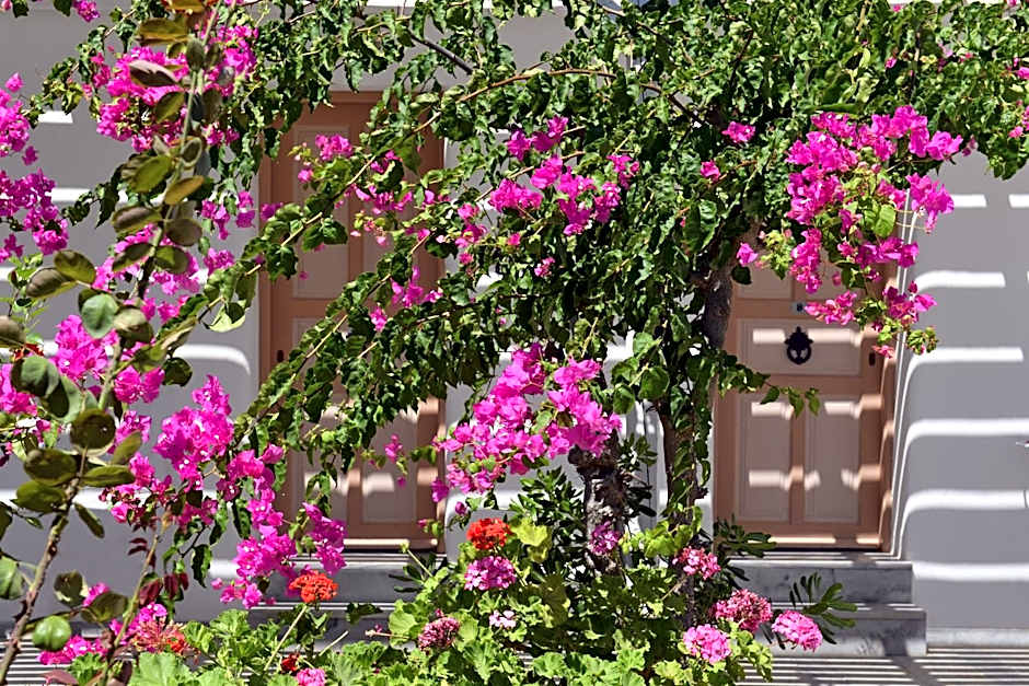 Surfing Beach Village Paros