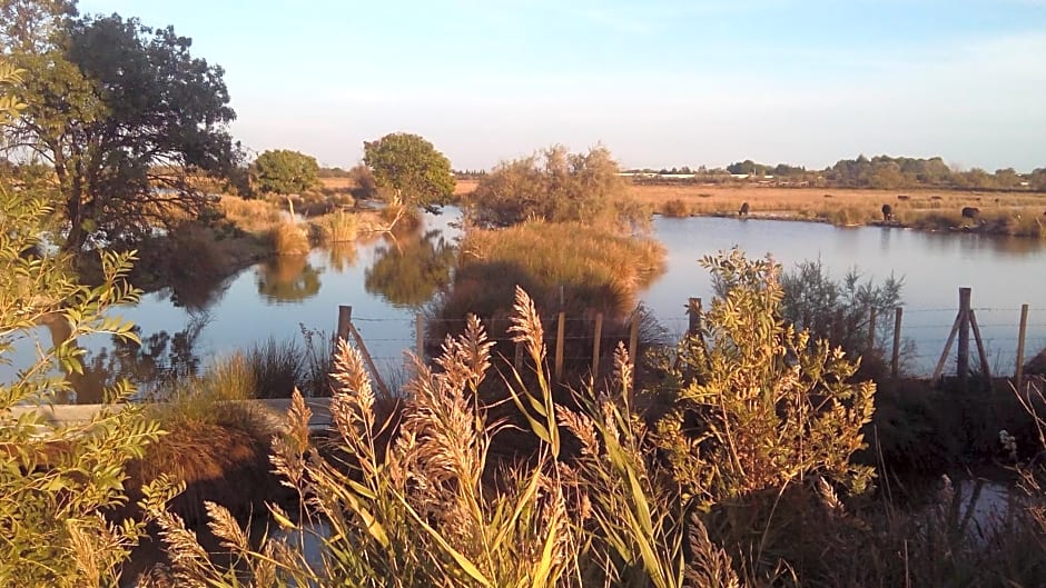 La Nanou'che (roulotte en Camargue)