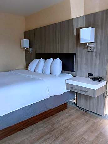 One Queen Bed