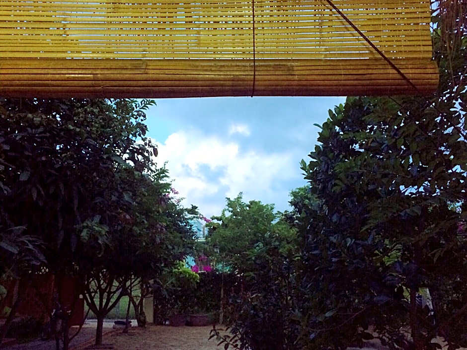 Draco - Thang Long Hotel