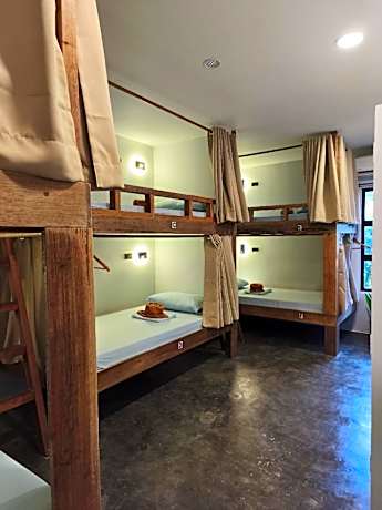 1 Bunk Bed in 6-Share Female Standard Dorm