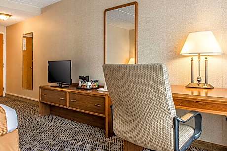 1 King Bed, Nonsmoking