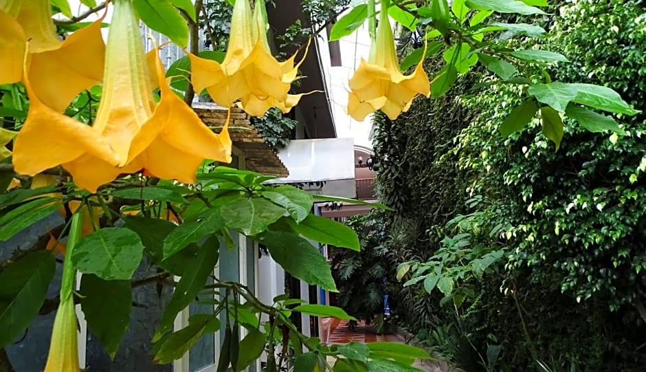 HOTEL JARDINES DEL CARMEN