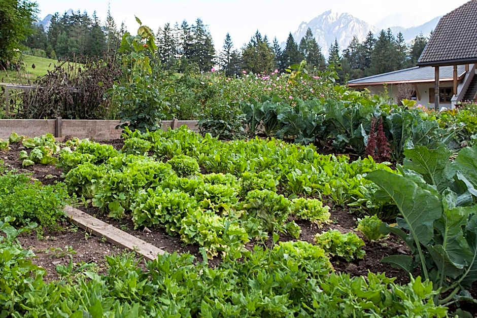 Hotel Mareo Dolomites