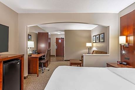 1 King Bed, Suite, Nonsmoking, Upgrade