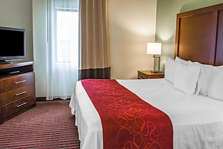 Executive Suite with King Bed