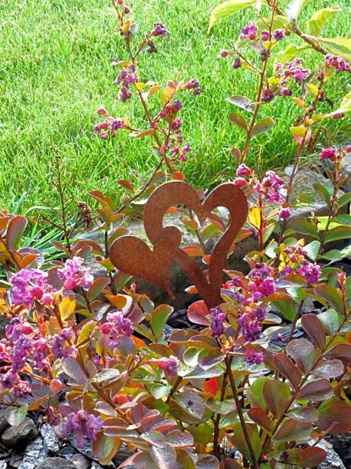L’Été en Novembre