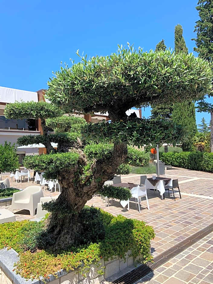 Tenuta Micoli