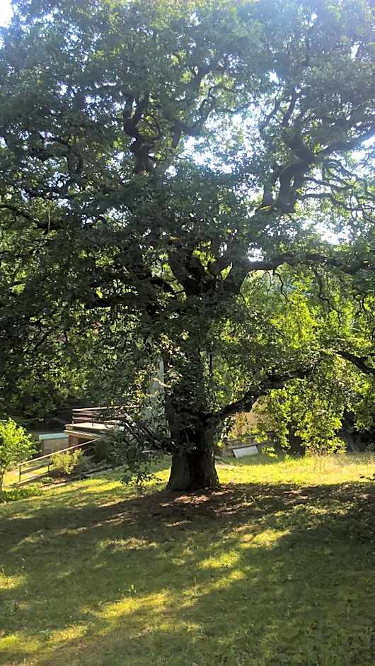 Chata nad kúpaliskom