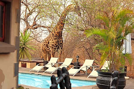 African Rock Lodge