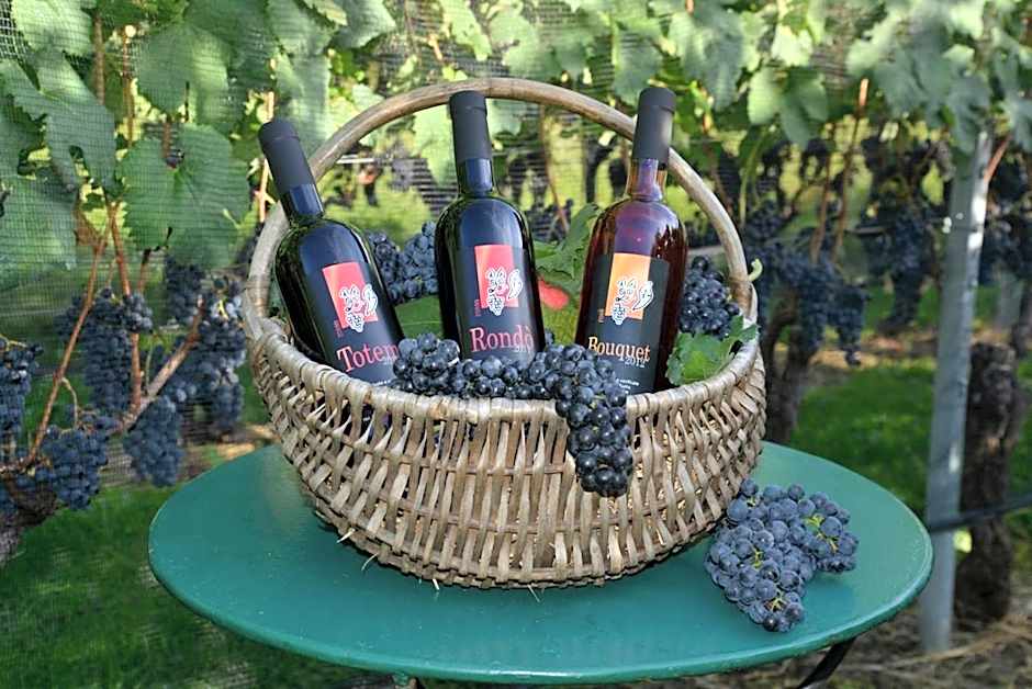 Bed and Breakfast da Käthy Agriturismo