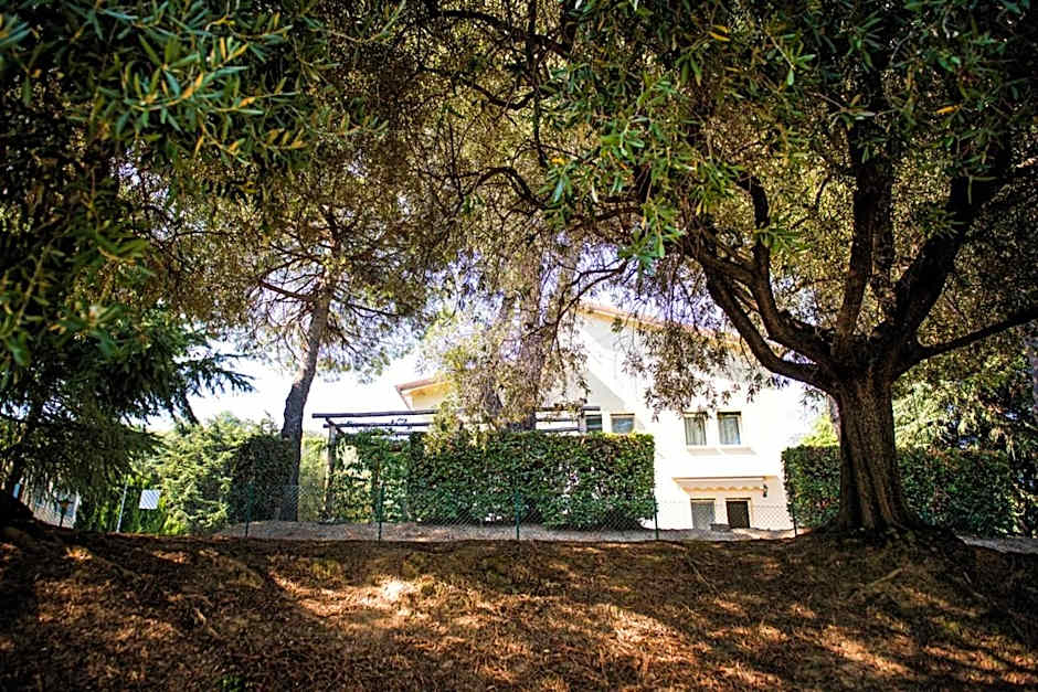 Fattoria Busa dell'Oro