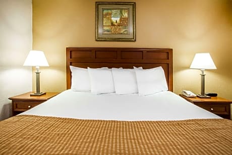 1 King Bed Non-Smoking