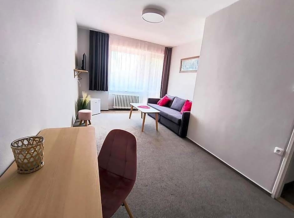 Hotel Salas