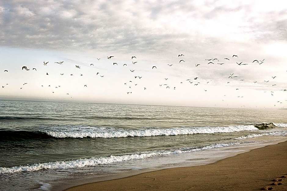 Noah Surf House Portugal