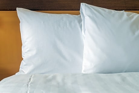 Room Selected at Check In - Bed Selection Not Guaranteed