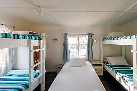 Bunk Bed in Mixed Dormitory Room