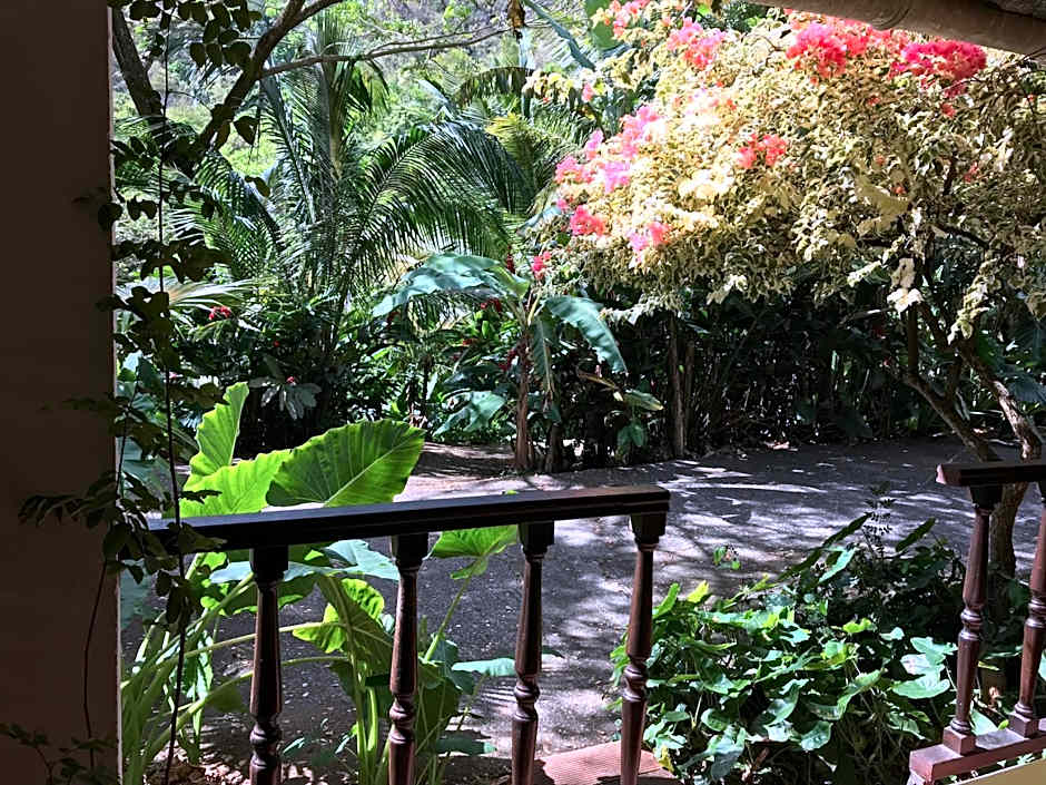 Martinique Treehouse