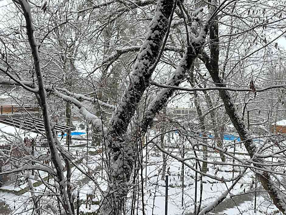 Wald Hotel Lagodekhi Rooms