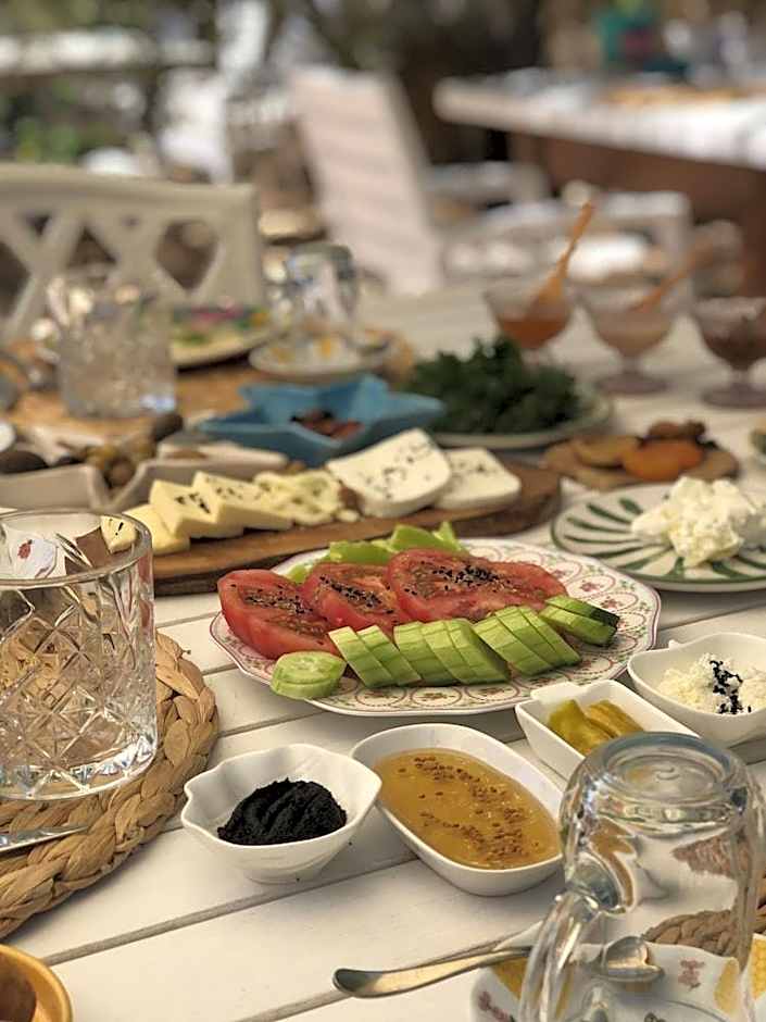 Temuçin Otel
