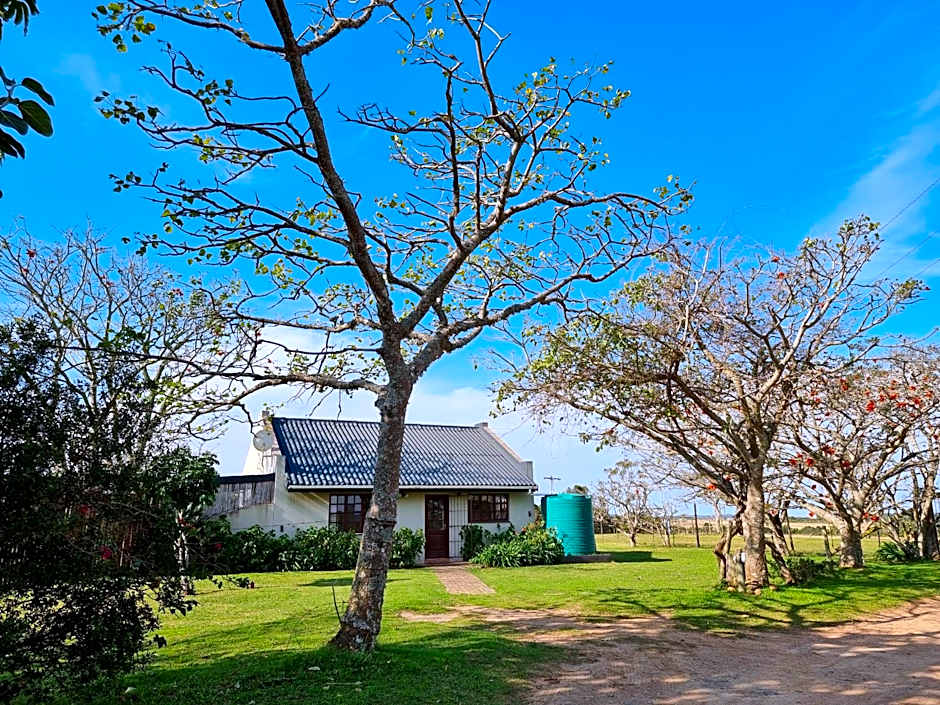 Mansfield Private Reserve