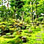 Nikko Hoshino Yado