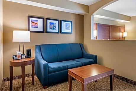 Deluxe King Suite - Non-Smoking