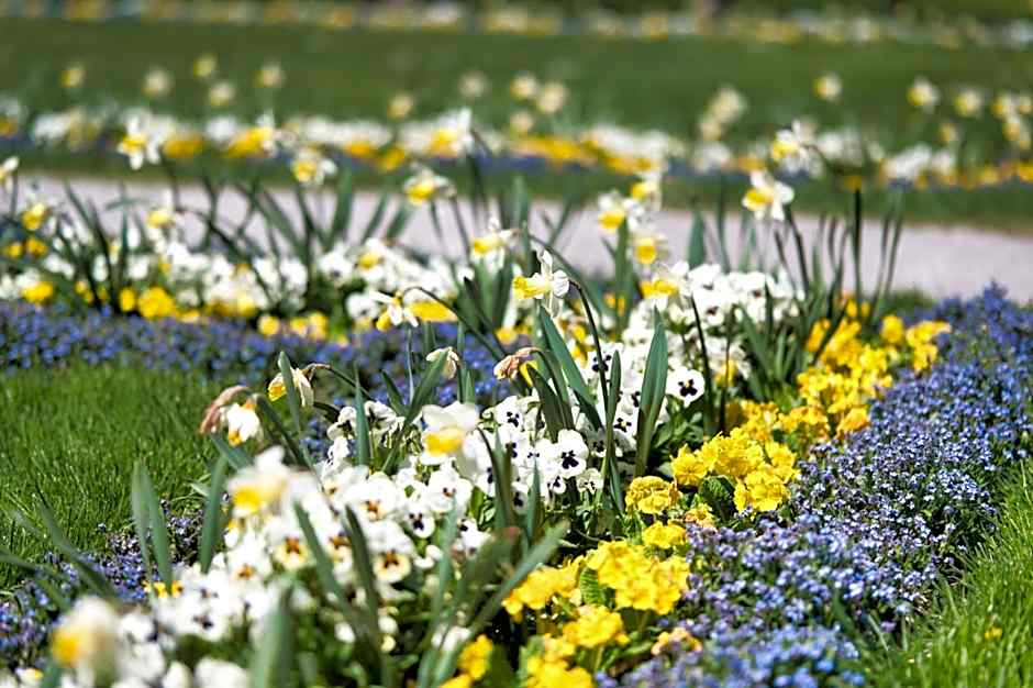 Hotel am Schlosspark Zum Kurfürst