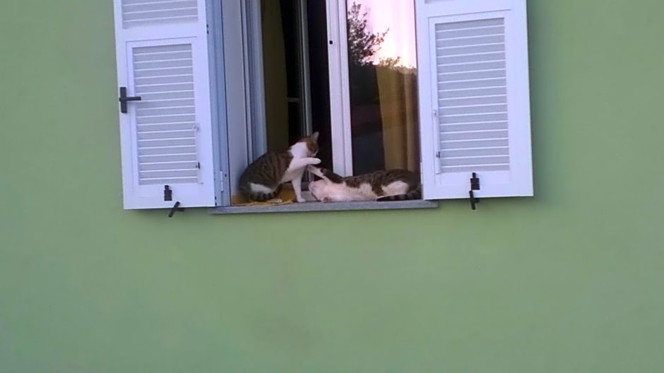 B&B Elfo degli Ulivi