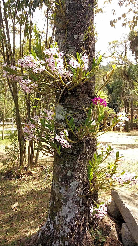 Pousada Vale das Orquídeas