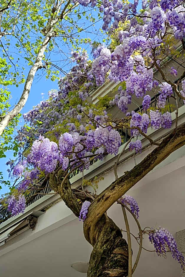 Albergo Villa Lucia