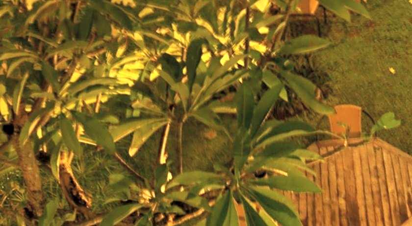 Sugiras Living Guest House