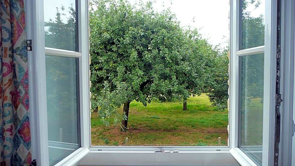 Domaine De La Cour Vautier