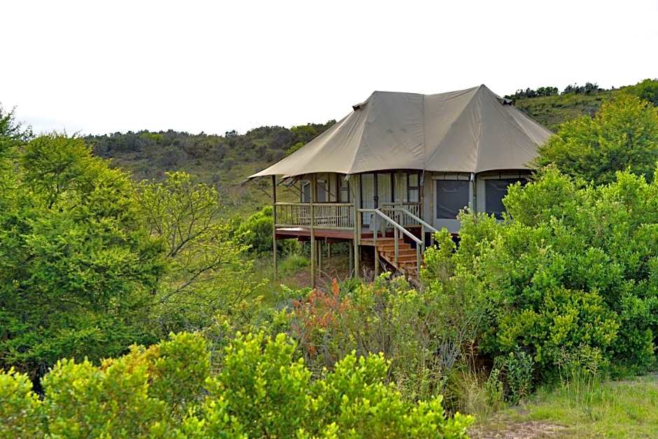 Garden Route Safari Camp