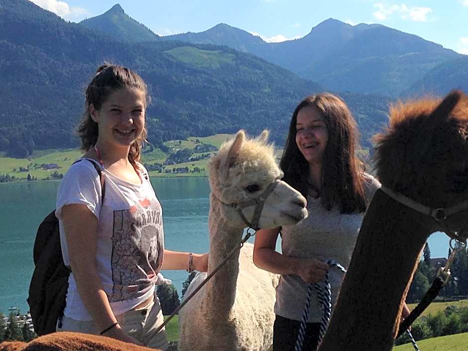 Das Franzl - Bett & Brot