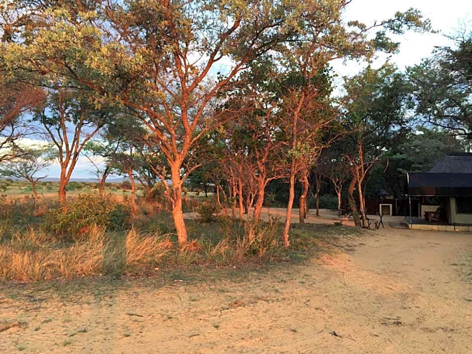 Kigeni Safari Lodge & Spa