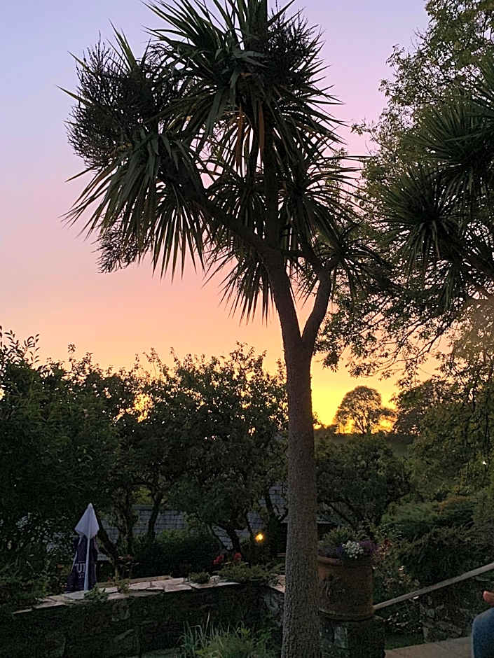 The Hoops Inn & Country Hotel