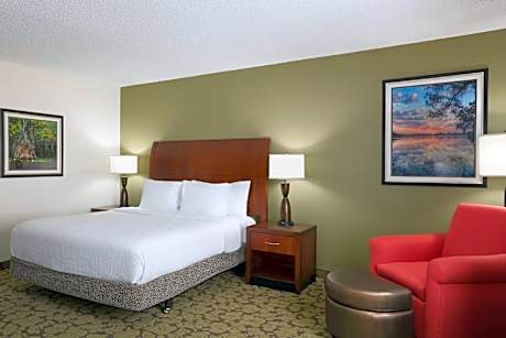 1 King Bed