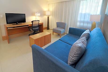 1 King 1 Bdrm Suite