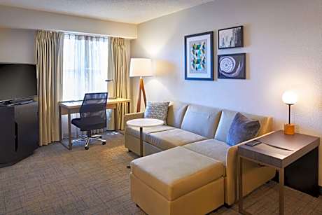 One-Bedroom Queen Suite with Sofa Bed