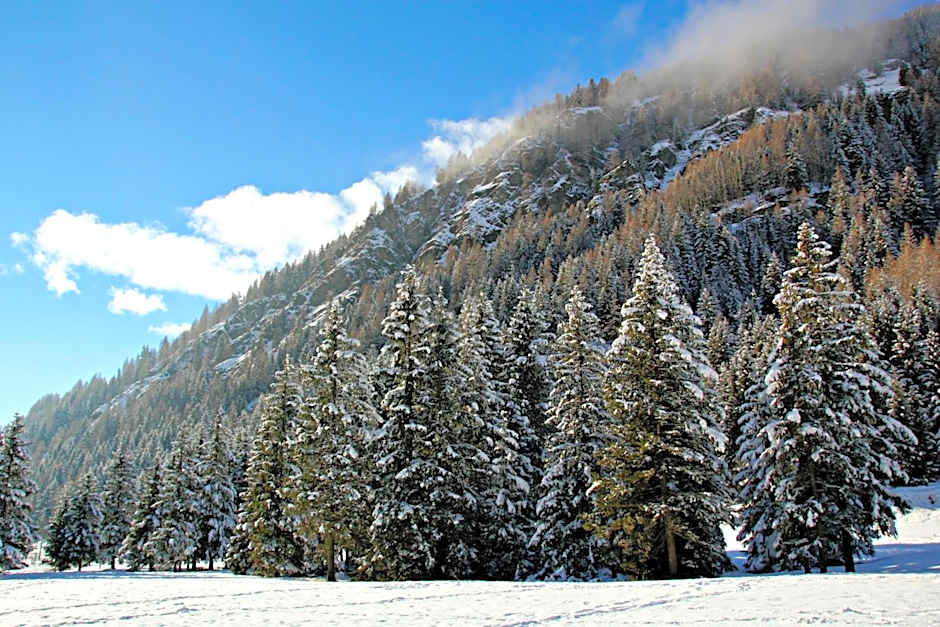 Hotel Petit Tournalin