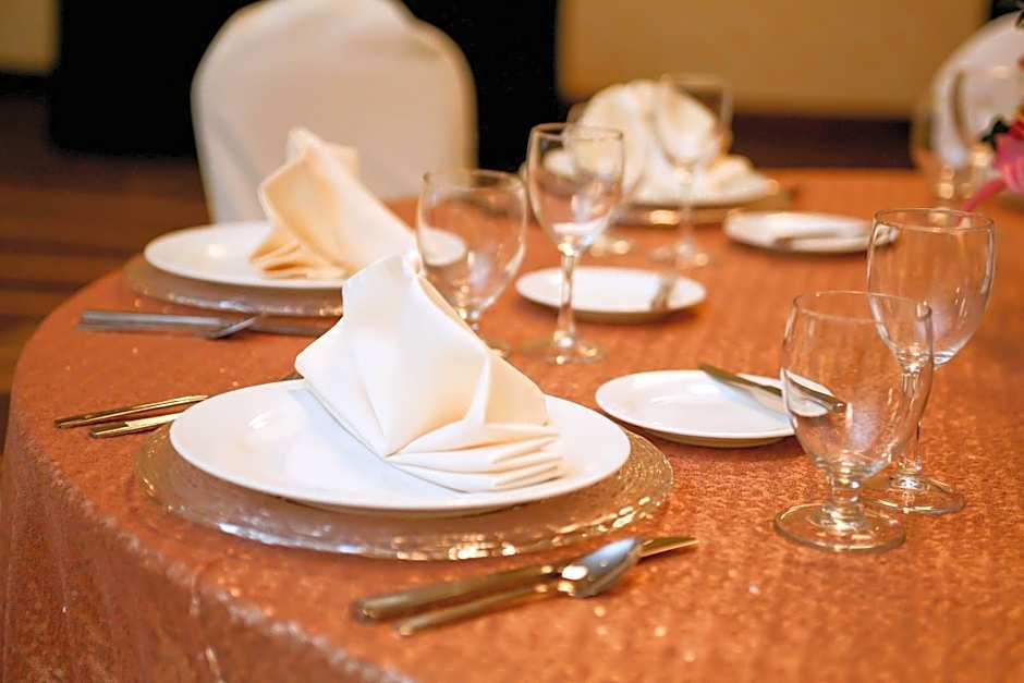 Hilton Garden Inn San Antonio-Live Oak Conference Center