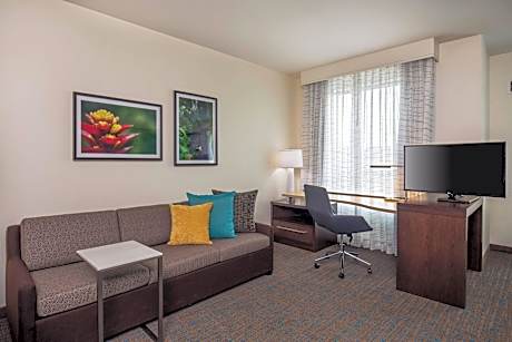 Studio, 1 King Bed with Sofa bed (Mobility Accessible, Roll-in Shower)