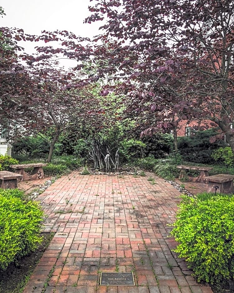 The Respite - Bed and Breakfast