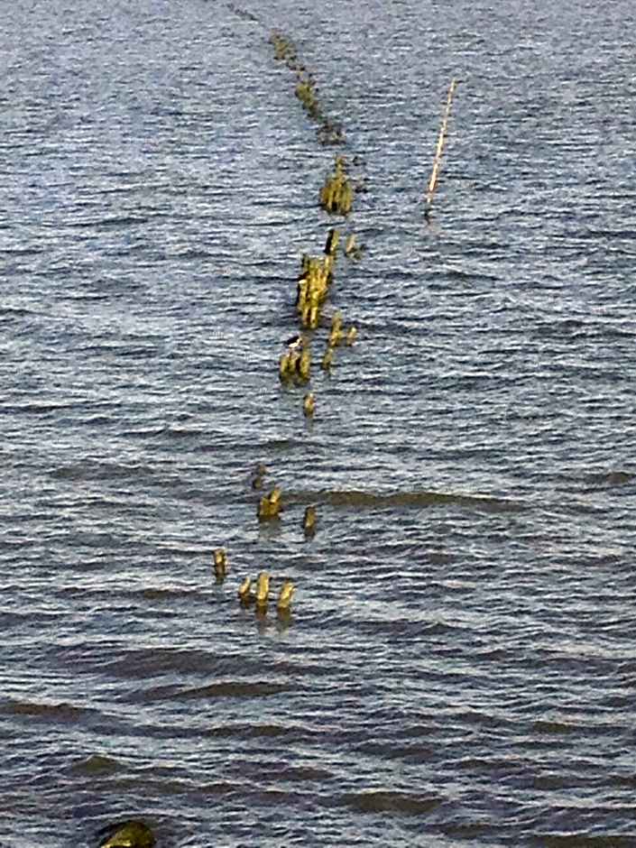 Het Huis van de Wadden