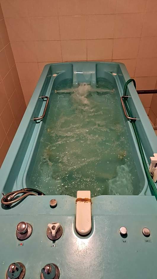 Hotel Bradul - Covasna