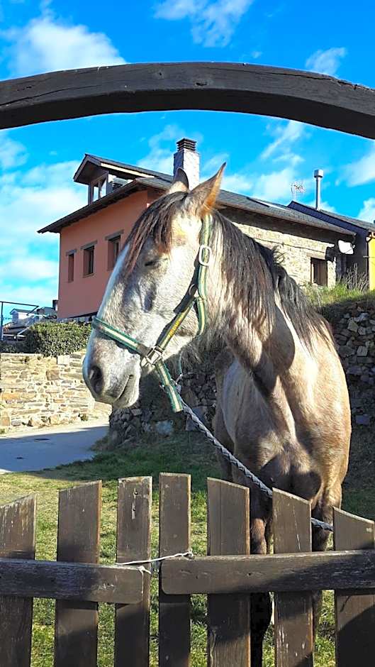 La Trucha del Arco Iris