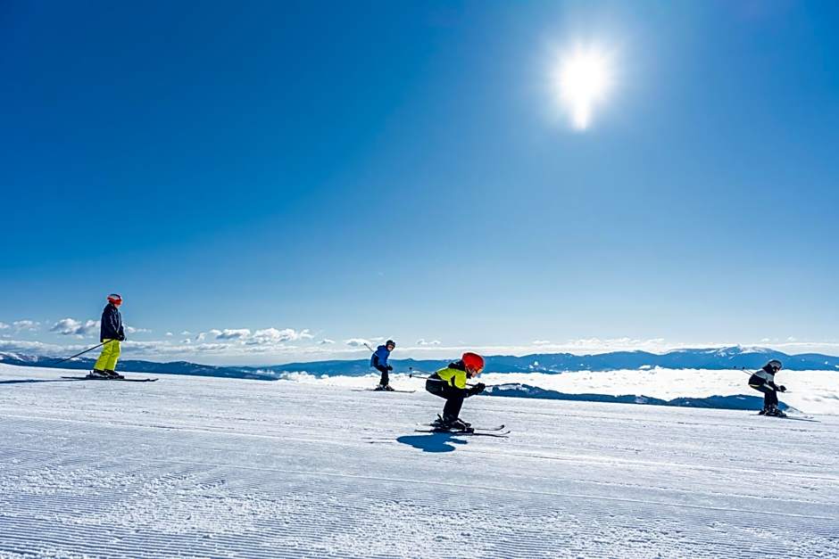 Hotel Alpengasthof Hochegger
